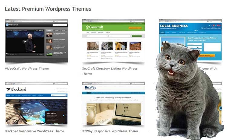can-has-clicks