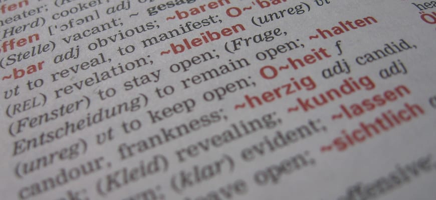 Dictionary | WordPress terminology