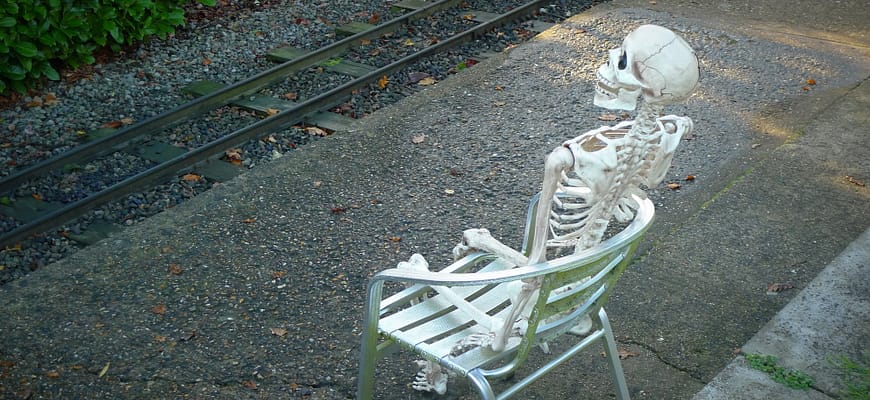 waiting skeleton | WordPress core