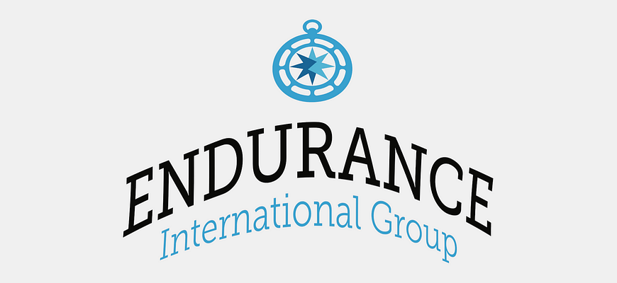 endurance international group review